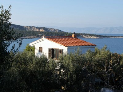 Apartment Two bedroom apartment with terrace and sea view Cove Pokrivenik, Hvar A-5224-a in Gdinj - Apartment