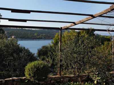 Apartment Two bedroom apartment with terrace and sea view Cove Pokrivenik, Hvar A-5224-a - Outdoor photo 27