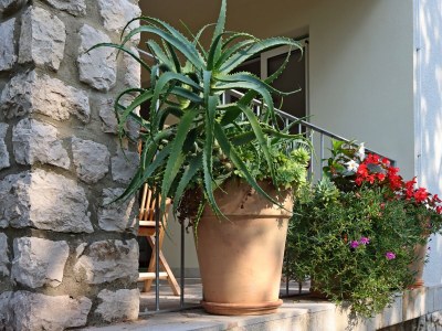 Apartment Three bedroom apartment with terrace Omišalj, Krk A-5298-a - Outdoor photo 7