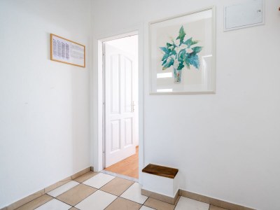 Apartment Apartments by the sea Tkon, Pašman - 6262 - Outdoor photo 44