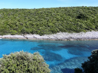 Apartment One bedroom apartment near beach Cove Rasohatica, Korčula A-5453-a - Outdoor photo 23