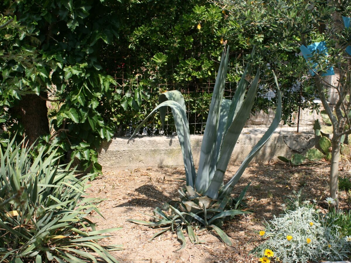 Apartment Two bedroom apartment near beach Pag A-6413-a - Outdoor photo 5