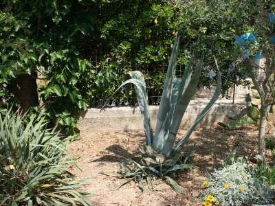 Apartment Two bedroom apartment near beach Pag A-6413-a - Outdoor photo 5