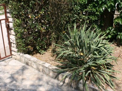 Apartment Two bedroom apartment near beach Pag A-6413-a - Outdoor photo 6