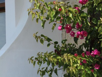 Apartment One bedroom apartment near beach Podgora, Makarska A-6713-a - Outdoor photo 5