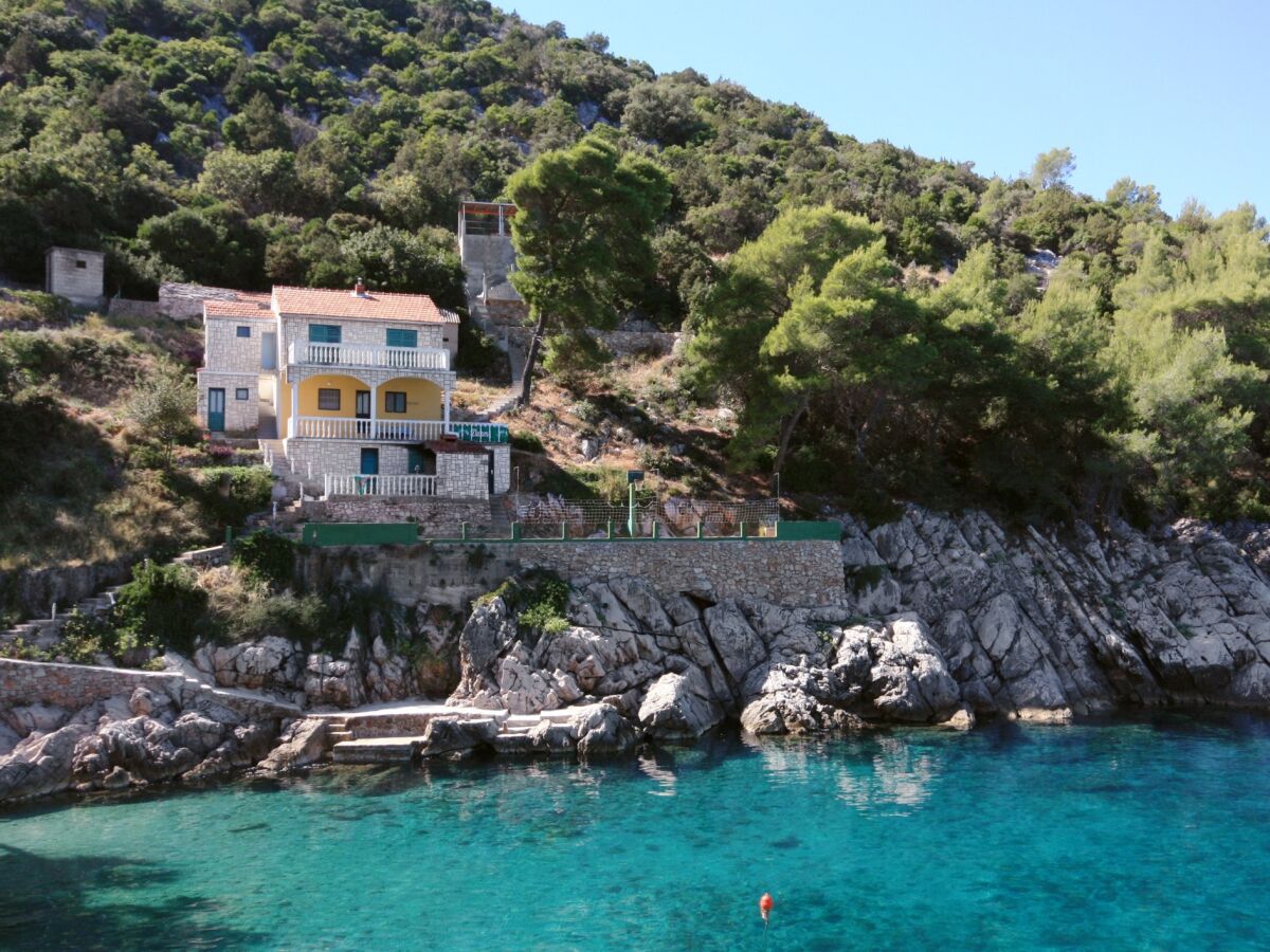 Apartment Three bedroom apartment near beach Cove Pobij, Hvar A-5633-a