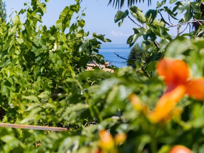 Apartment Three bedroom apartment with terrace and sea view Lovran, Opatija A-7837-a - Outdoor photo 10