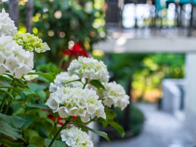 Apartment Three bedroom apartment with terrace and sea view Lovran, Opatija A-7837-a - Outdoor photo 17