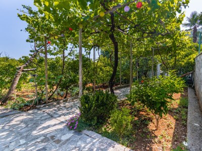 Apartment Three bedroom apartment with terrace and sea view Lovran, Opatija A-7837-a - Outdoor photo 21