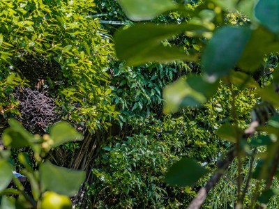 Apartment Three bedroom apartment with terrace and sea view Lovran, Opatija A-7837-a - Outdoor photo 23