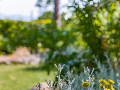 Apartment Three bedroom apartment with terrace and sea view Lovran, Opatija A-7837-a - Outdoor photo 25