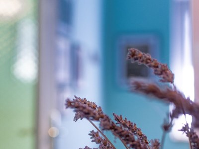 Apartment Three bedroom apartment with terrace and sea view Lovran, Opatija A-7837-a - Outdoor photo 35