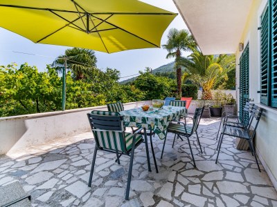 Apartment Three bedroom apartment with terrace and sea view Lovran, Opatija A-7837-a - Outdoor photo 88