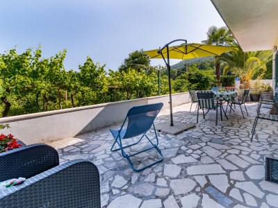 Apartment Three bedroom apartment with terrace and sea view Lovran, Opatija A-7837-a - Outdoor photo 89