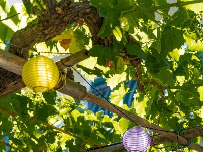 Apartment Three bedroom apartment with terrace and sea view Lovran, Opatija A-7837-a - Outdoor photo 99