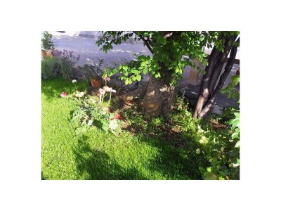 Apartment Apartments with parking space Sumartin, Brač - 5646 - Apartments with parking space Sumartin, Brač - 5646 - Outdoor photo 2