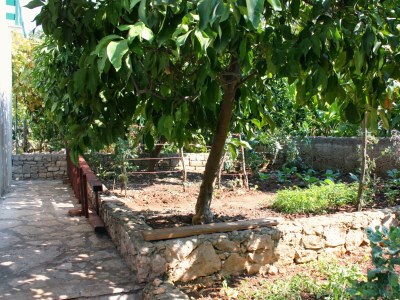 Apartment Three bedroom apartment with terrace Mirca, Brač A-5655-a - Outdoor photo 7