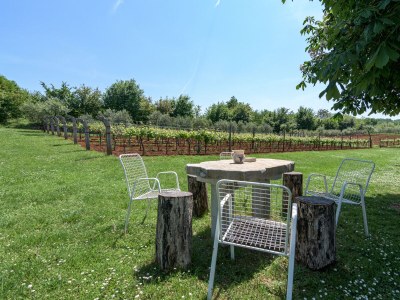 Holiday house Two bedroom house with terrace Sveti Martin, Central Istria - Središnja Istra K-7849 - Outdoor photo 7