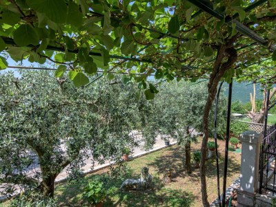 Holiday house Two bedroom house with terrace Sveti Martin, Central Istria - Središnja Istra K-7849 - Outdoor photo 38