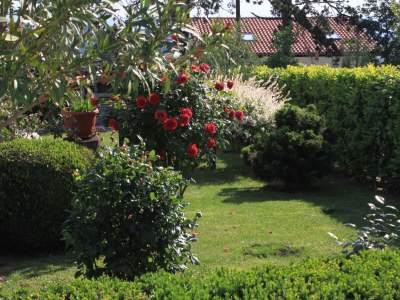 Apartment Two bedroom apartment with terrace and sea view Opatija - Pobri, Opatija A-7890-a - Outdoor photo 6