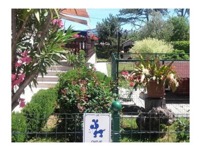 Apartment Two bedroom apartment with terrace and sea view Opatija - Pobri, Opatija A-7890-a - Outdoor photo 13