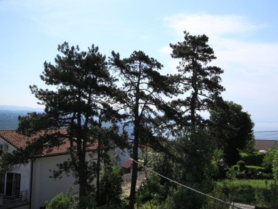 Apartment Two bedroom apartment with terrace and sea view Opatija - Pobri, Opatija A-7890-a - Outdoor photo 33