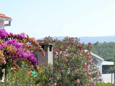 Apartment Apartments by the sea Basina, Hvar - 5700 - Outdoor photo 11