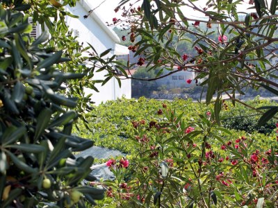 Apartment Apartments by the sea Basina, Hvar - 5700 - Outdoor photo 29