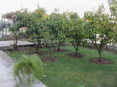 Apartment Two bedroom apartment with terrace and sea view Biograd na Moru, Biograd A-5833-a - Outdoor photo 2