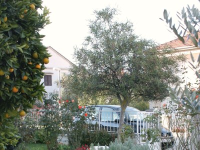 Apartment Two bedroom apartment with terrace and sea view Biograd na Moru, Biograd A-5833-a - Outdoor photo 3