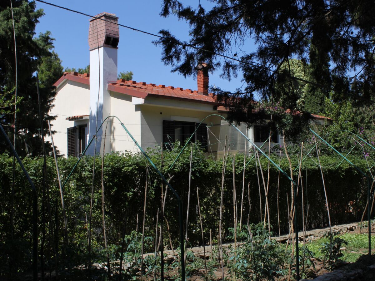 Apartment Four-bedroom apartment with terrace Mali Lošinj, Lošinj A-7992-a - Outdoor photo 4