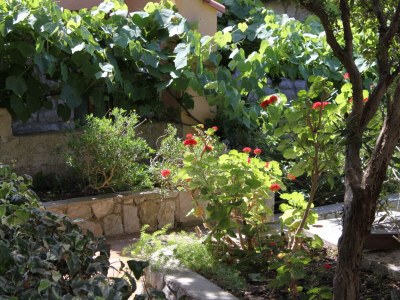 Apartment Four-bedroom apartment with terrace Mali Lošinj, Lošinj A-7992-a - Outdoor photo 10