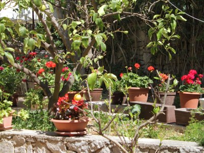 Apartment Four-bedroom apartment with terrace Mali Lošinj, Lošinj A-7992-a - Outdoor photo 13