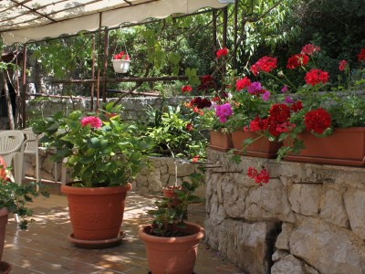 Apartment Four-bedroom apartment with terrace Mali Lošinj, Lošinj A-7992-a - Outdoor photo 14