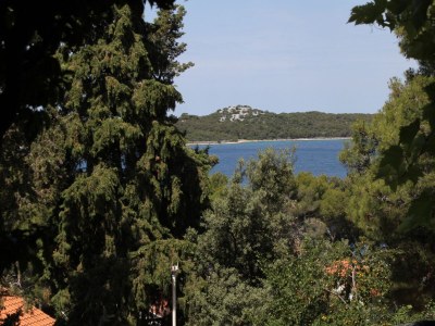 Apartment Four-bedroom apartment with terrace Mali Lošinj, Lošinj A-7992-a - Outdoor photo 43