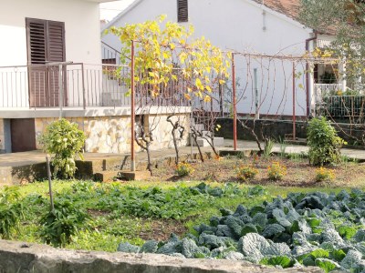 Apartment Two bedroom apartment with balcony and sea view Zadar - Diklo, Zadar A-5926-a - Outdoor photo 7