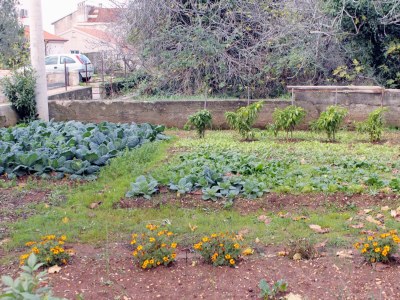 Apartment Two bedroom apartment with balcony and sea view Zadar - Diklo, Zadar A-5926-a - Outdoor photo 8