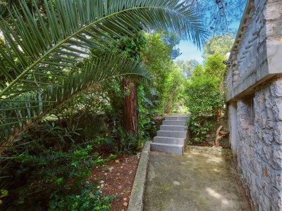 Holiday house Two bedroom house with terrace Artatore, Lošinj K-8005 - Outdoor photo 8