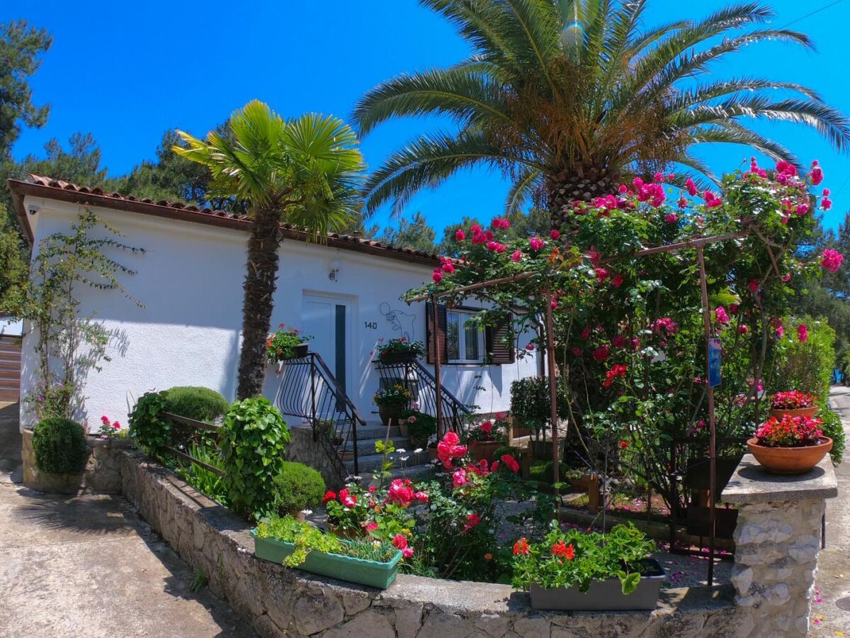 Apartment One bedroom apartment with terrace Artatore, Lošinj A-8020-a - Outdoor photo 2