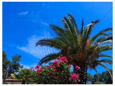 Apartment One bedroom apartment with terrace Artatore, Lošinj A-8020-a - Outdoor photo 4