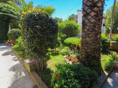Apartment One bedroom apartment with terrace Artatore, Lošinj A-8020-a - Outdoor photo 6