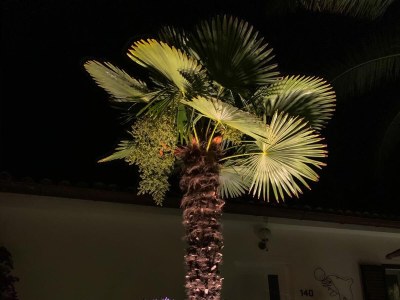 Apartment One bedroom apartment with terrace Artatore, Lošinj A-8020-a - Outdoor photo 7