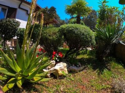 Apartment One bedroom apartment with terrace Artatore, Lošinj A-8020-a - Outdoor photo 8