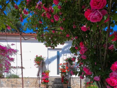 Apartment One bedroom apartment with terrace Artatore, Lošinj A-8020-a - Outdoor photo 9