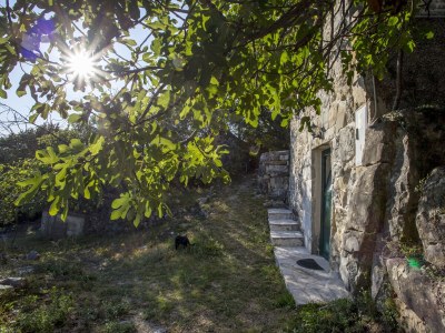 Apartment Studio flat with air-conditioning Gata, Omiš AS-6033-a - Outdoor photo 11