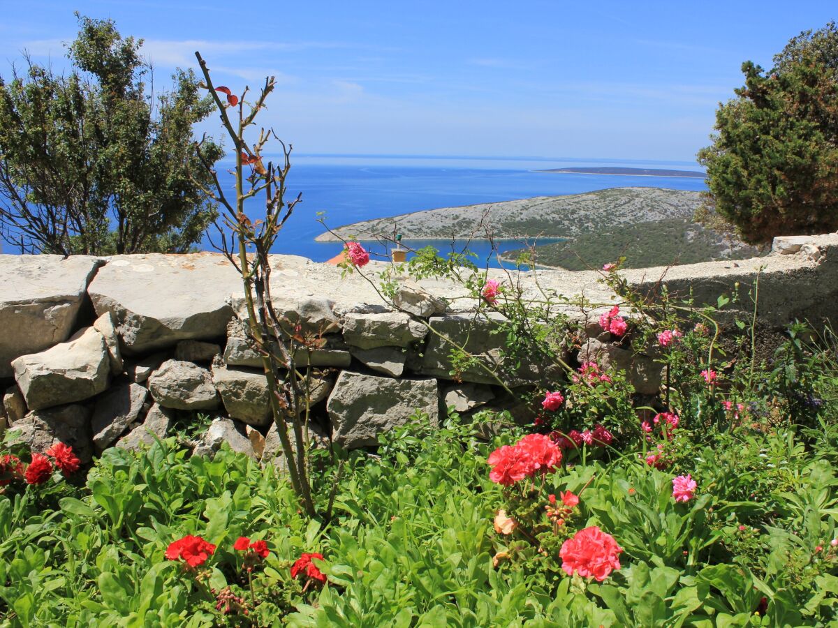 Holiday house Two bedroom house with terrace and sea view Ustrine, Cres K-8037 - Outdoor photo 5