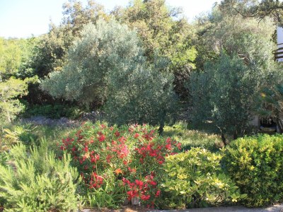 Apartment Three bedroom apartment near beach Cove Merašćica, Cres A-8071-a - Outdoor photo 6