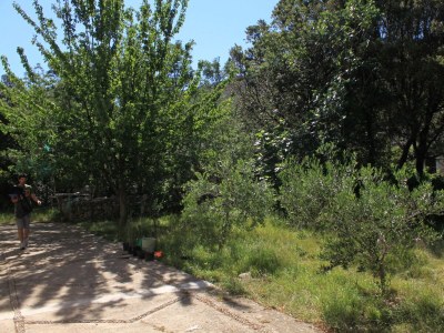 Apartment Three bedroom apartment near beach Cove Merašćica, Cres A-8071-a - Outdoor photo 7