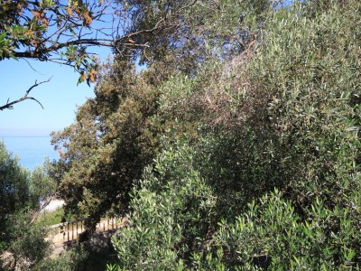 Apartment Three bedroom apartment near beach Cove Merašćica, Cres A-8071-a - Outdoor photo 34