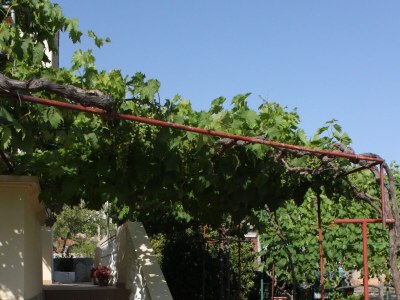 Apartment Studio flat with terrace Sali, Dugi otok AS-8136-a - Outdoor photo 4